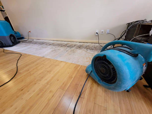Reliable Basement Flood Cleanup contractor in Stoughton, MA by Hirex Water Damage