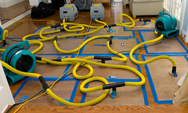 Professional Basement Flood Cleanup technician working in Stoughton, MA